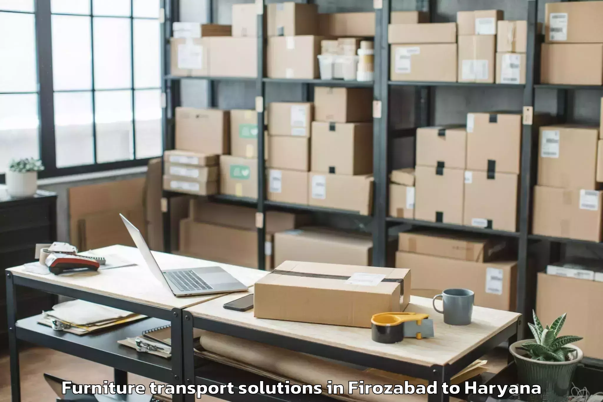 Hassle-Free Firozabad to Samalkha Furniture Transport Solutions